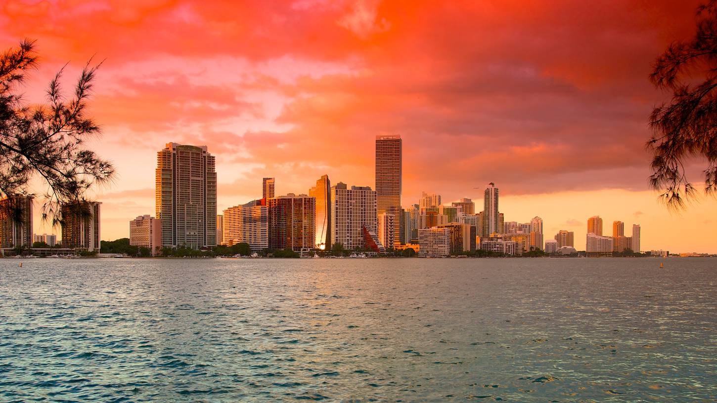 Un grand voyage à Miami