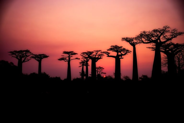 Les différentes choses à faire lors d’un séjour à Madagascar