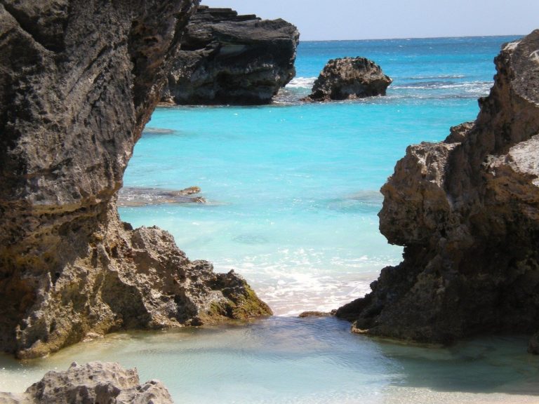 Plongée aux Bermudes : épaves et récifs coralliens