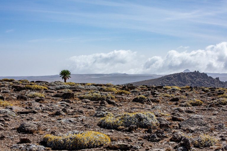 L’Éthiopie : terre d’origine et nouveau hotspot touristique