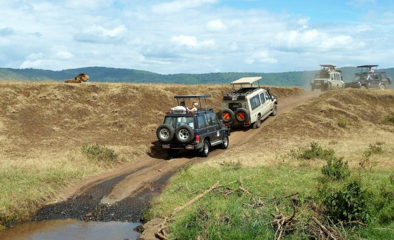 Les choses uniques à faire lors d’un safari en Tanzanie