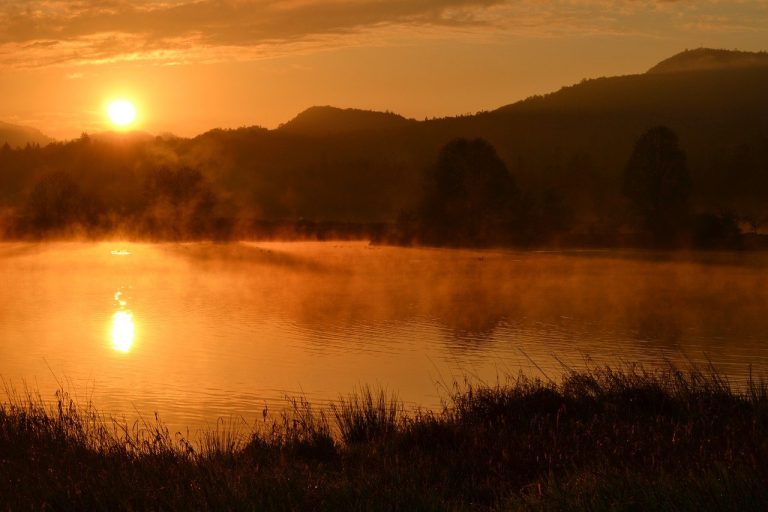 Les parcs bruxellois avec étangs et lacs