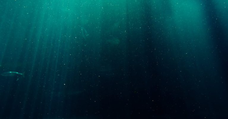 Que cache l&rsquo;exploration de terres lointaines ?