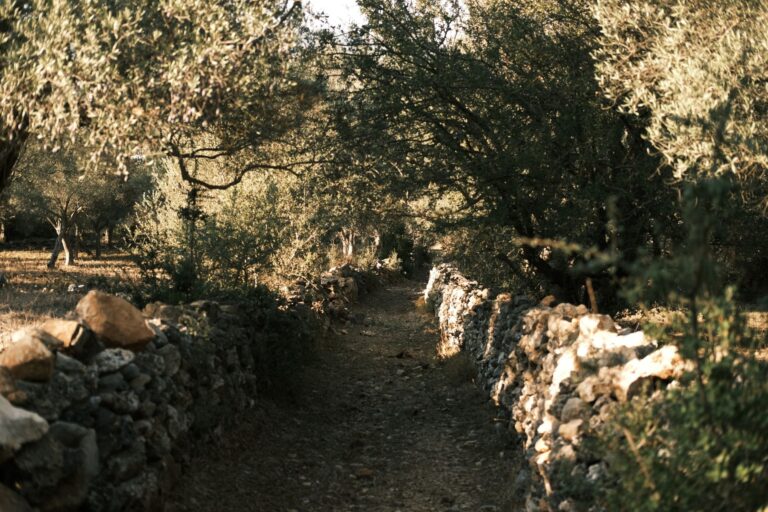 Que découvre-t-on lors d&rsquo;une promenade dans les jardins secrets ?