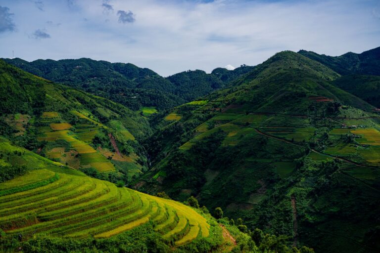 Quelles sont les richesses des cultures lointaines à découvrir ?