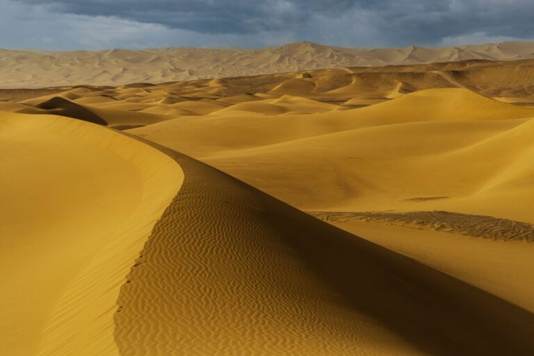 Quelles merveilles cachent les déserts de sable lors d&rsquo;un périple ?