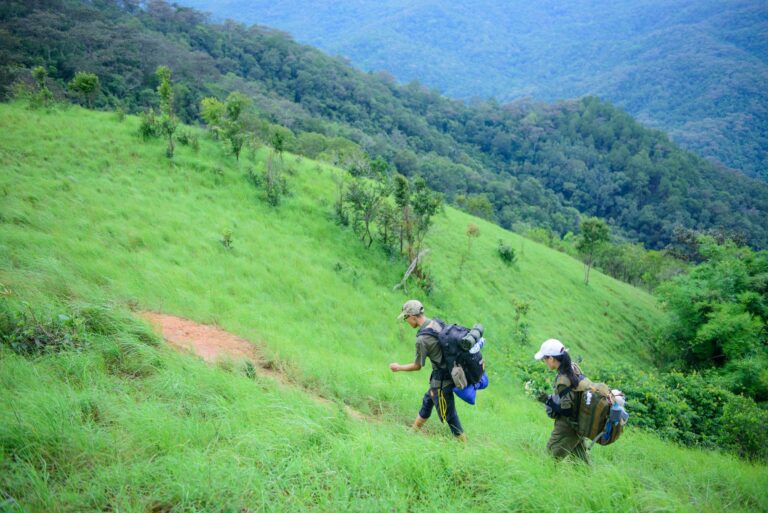 Partir en voyage intérieur: Comment découvrir sa vraie nature?