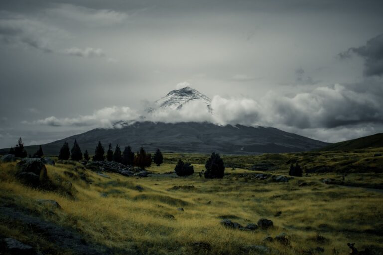 Quelles merveilles nous réservent les terres fantastiques ?