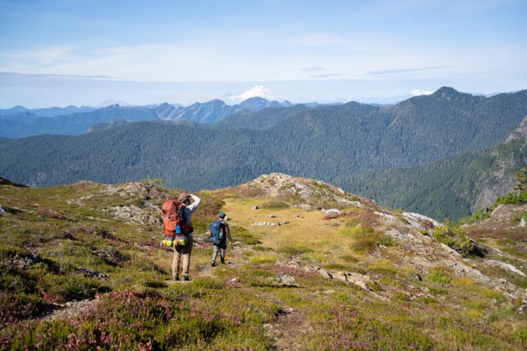 Quels sont les chemins de l&rsquo;éveil à explorer ?